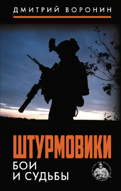 Штурмовики. Бои и судьбы