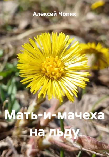 Мать-и-мачеха на льду