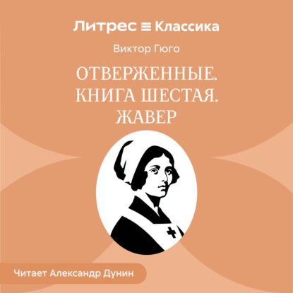 Отверженные. Книга шестая. ЖАВЕР