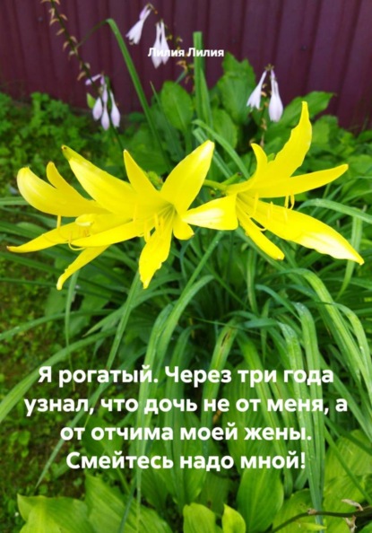 Я рогатый. Через три года узнал, что дочь не от меня, а от отчима моей жены. Смейтесь надо мной!