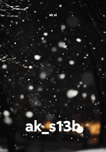 ak_s13b