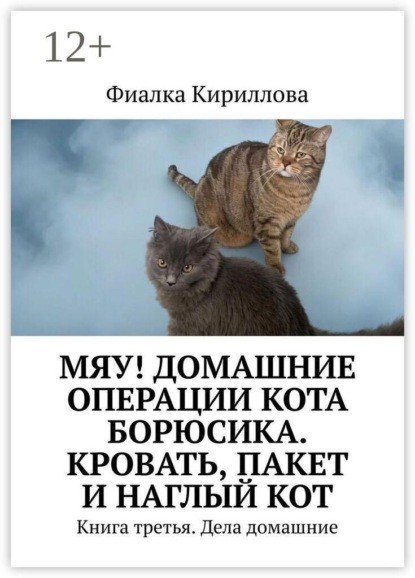 Мяу! Домашние операции кота Борюсика. Кровать, пакет и наглый кот. Книга третья. Дела домашние