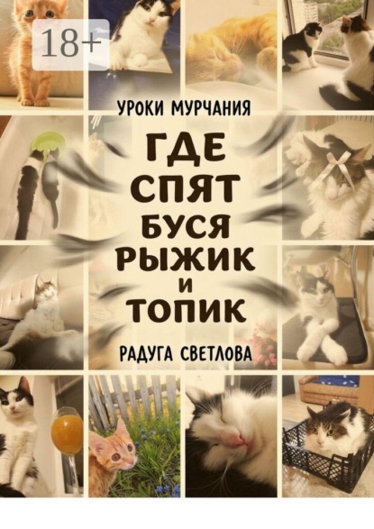 Где спят Буся, Рыжик и топик. Уроки мурчания