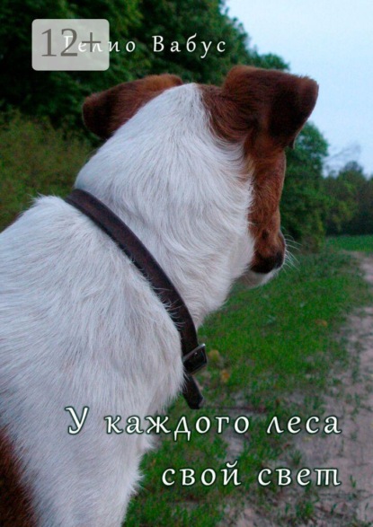 У каждого леса свой свет