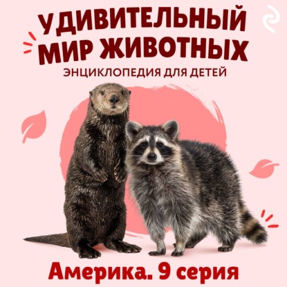 Удивительный мир животных. Америка. Серия 9