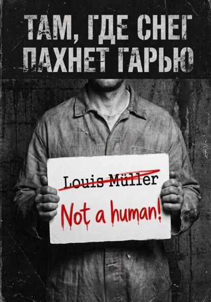 Там, где снег пахнет гарью