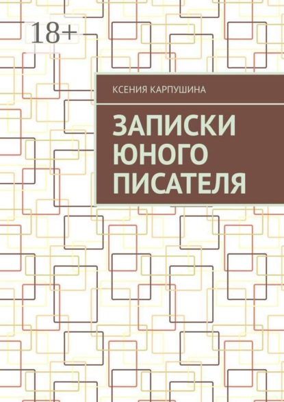 Записки юного писателя