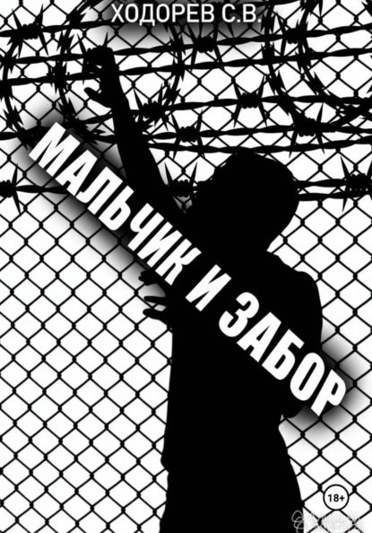 Мальчи и забор