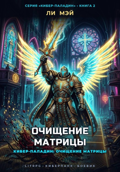Кибер-Паладин: Очищение Матрицы