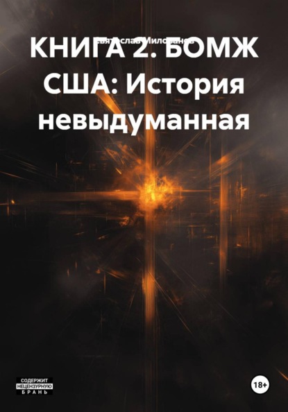 КНИГА 2. БОМЖ США: История невыдуманная