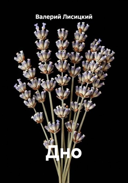 Дно