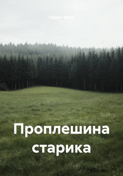 Проплешина старика