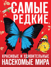 Самые редкие, красивые и удивительные насекомые мира