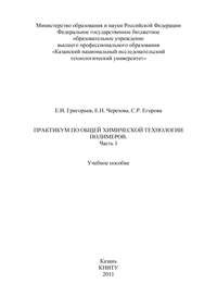 Практикум по общей химической технологии полимеров. Часть 1