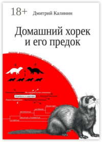 Домашний хорек и его предок