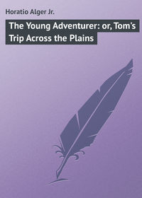 The Young Adventurer: or, Tom&apos;s Trip Across the Plains