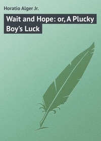 Wait and Hope: or, A Plucky Boy&apos;s Luck