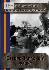 Северо-Западный фронт. Серия «Бессмертный полк»