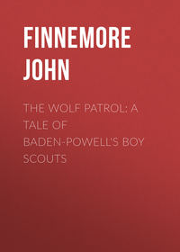 The Wolf Patrol: A Tale of Baden-Powell&apos;s Boy Scouts