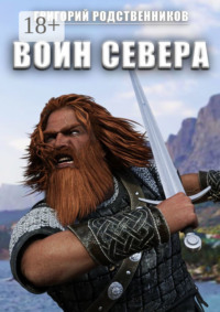 Воин Севера. Сборник остросюжетных рассказов