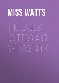 The Ladies&apos; Knitting and Netting Book