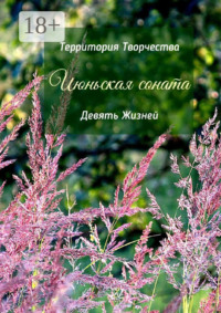 Июньская соната. Девять Жизней