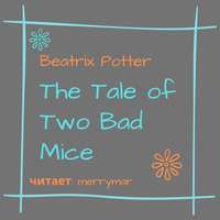 The Tale of Two Bad Mice