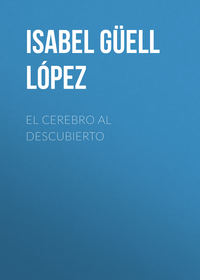 El cerebro al descubierto