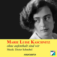 Ohne Aufenthalt sind wir (Hörbuch mit Musik)