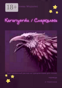 Kararıyordu / Смеркалось. Адаптированный рассказ на турецком языке для чтения, перевода и пересказа