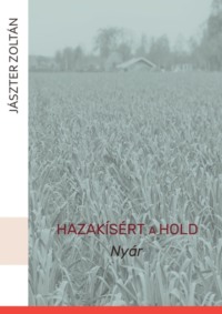 Hazakísért a Hold. Nyár