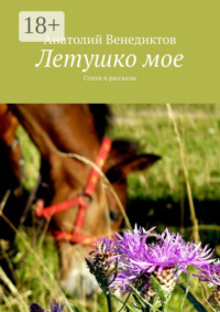 Летушко мое. Стихи и рассказы