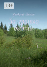 За гранью бытия