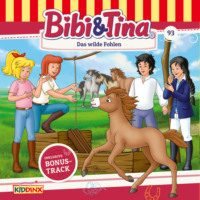 Bibi & Tina, Folge 93: Das wilde Fohlen