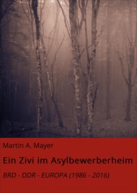 Ein Zivi im Asylbewerberheim