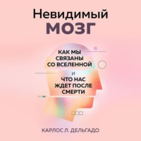 Невидимый мозг. Как мы связаны со Вселенной и что нас ждет после смерти