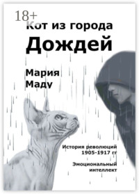 Кот из города дождей