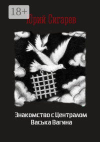 Знакомство с Централом Васька Вагина. Повесть