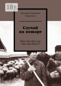 Случай на кошаре. Кто это был или что это было?!