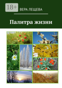 Палитра жизни