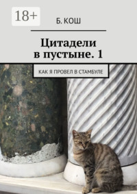 Цитадели в пустыне. 1. Как я провел в Стамбуле