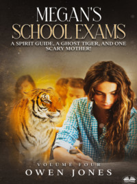 Megan`s School Exams