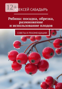 Рябина: посадка, обрезка, размножение и использование плодов. Советы и рекомендации