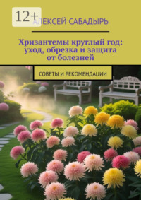 Хризантемы круглый год: уход обрезка и защита от болезней. Советы и рекомендации