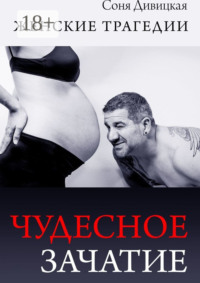 Чудесное зачатие. Сборник рассказов