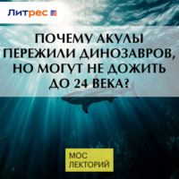 Почему акулы пережили динозавров, но могут не дожить до 24 века?