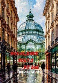 Последний поезд из Вье. 15,5 божьих коровок в коробке из под обуви