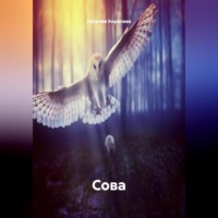 Сова.