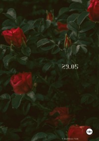 29.05