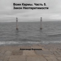 Воин Кармы. Часть 5. Закон Неотвратимости